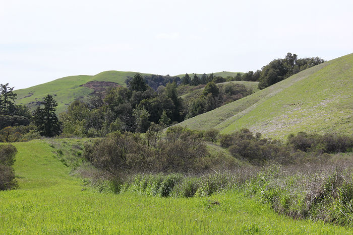 Santa Cruz Mountains